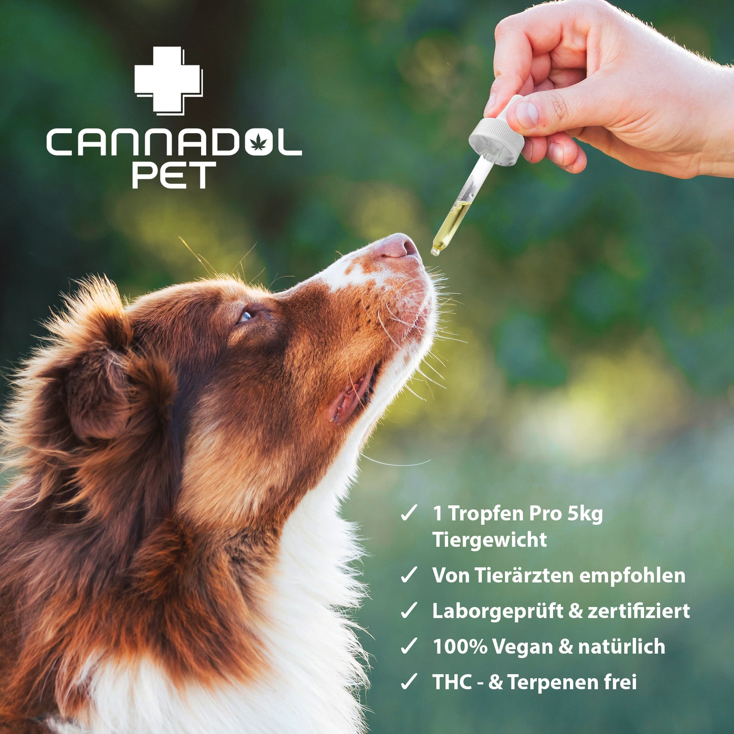 Cannadol Pet 10% Premium CBD Öl für Hunde - (10 ml)