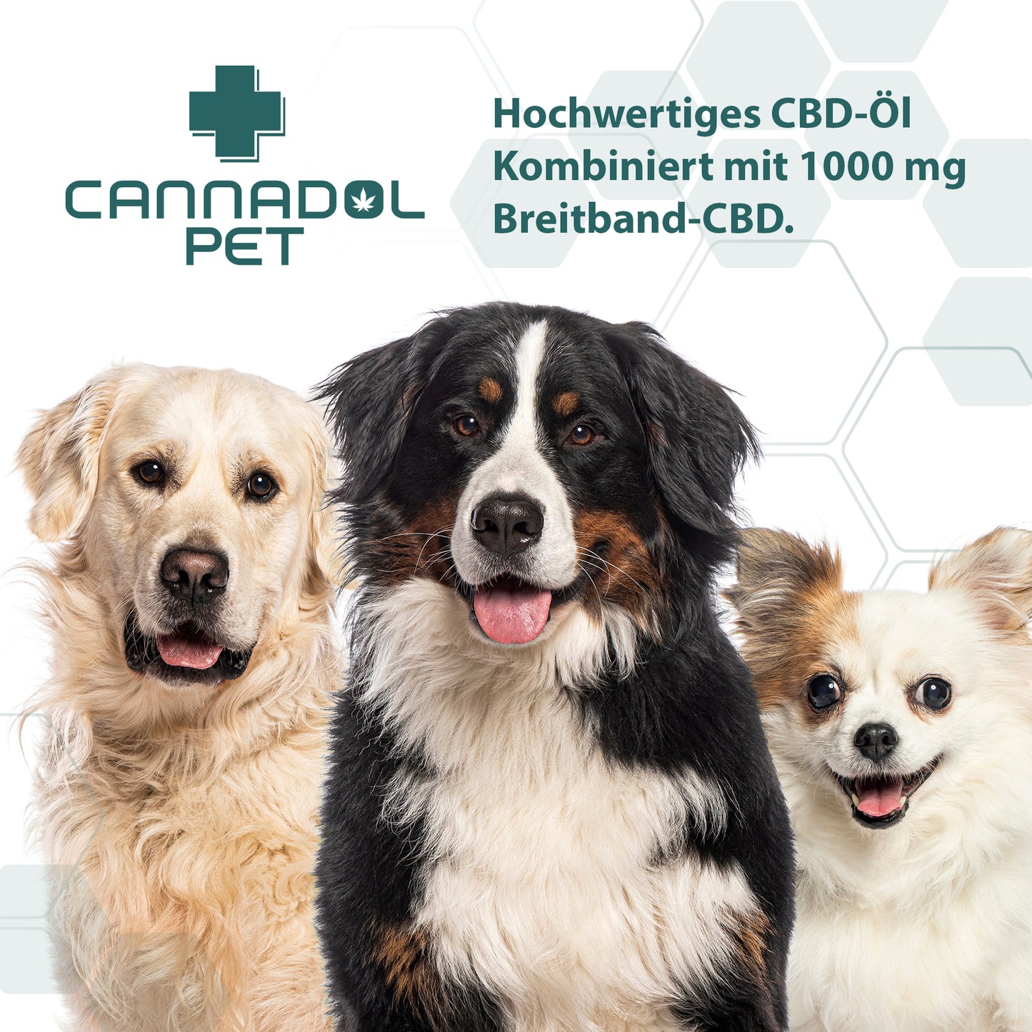 Cannadol Pet 10% Premium CBD Öl für Hunde - (10 ml)