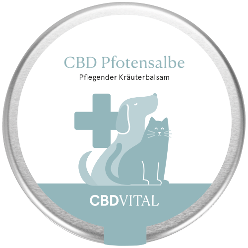 CBD Pfotensalbe